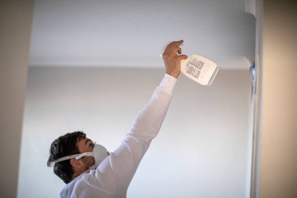 Mold Testing and Removal in Flower Hill, MD