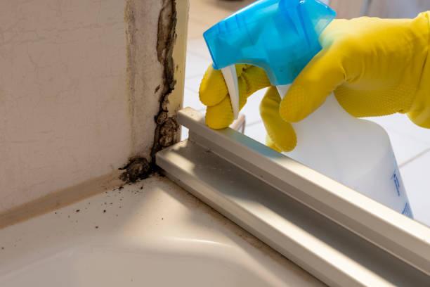 Best Crawl Space Mold Removal  in Flower Hill, MD
