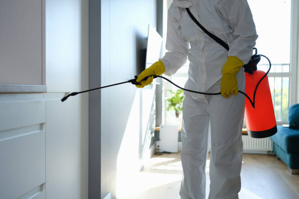 Best Attic Mold Removal  in Flower Hill, MD