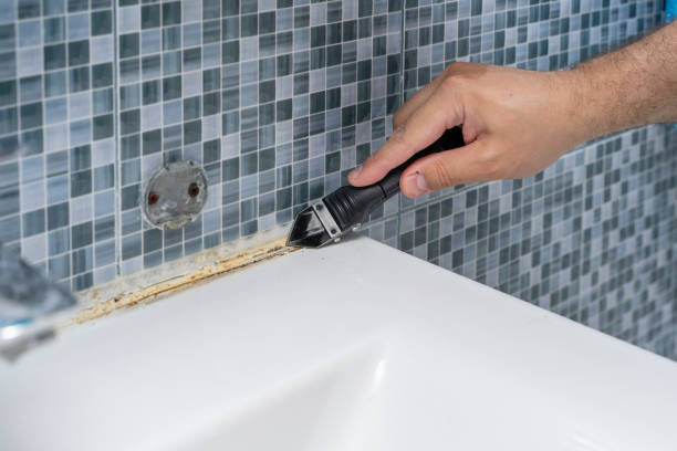 Best Mold Removal Near Me  in Flower Hill, MD