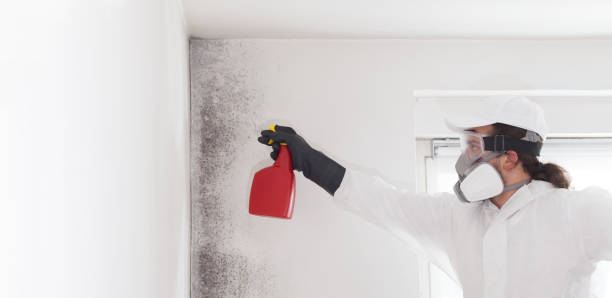 Best Mold Remediation Services  in Flower Hill, MD
