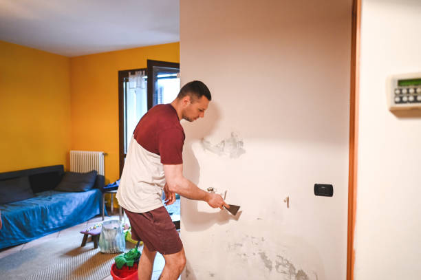 Best Commercial Mold Removal  in Flower Hill, MD