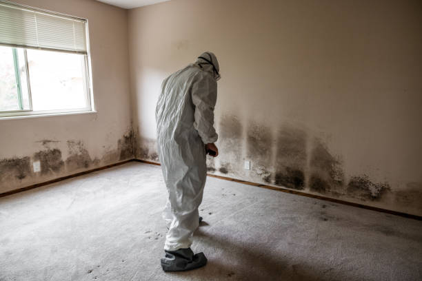 Best Mold Removal Process  in Flower Hill, MD